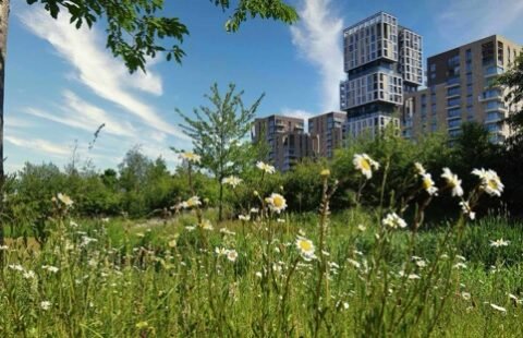 Family-Friendly Homes in Greenwich with Access to Green Parks